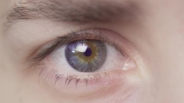 Extreme close-up of a beautiful girls blue eye. The white woman opens her eye. Natural eyelashes, well-groomed eyebrows. Human eye iris opening pupil