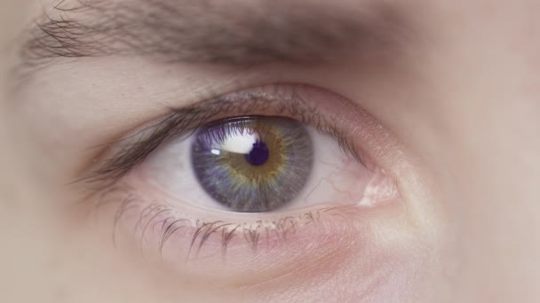 Extreme close-up of a beautiful girls blue eye. The white woman opens her eye. Natural eyelashes, well-groomed eyebrows. Human eye iris opening pupil — Vídeo de Stock