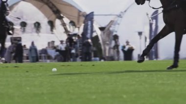 Polo oyunu, ağır çekim. Oyuncular uzun saplı tahta bir çekiç tutuyor. Sürücü başarılı bir vuruş yapıyor, topu sürüyor.