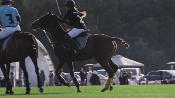 UFA RUSSLAND - 05.09.2021: Polospiel, Zeitlupe. Reiter schlägt weißen Ball langen Holzhammer. Schießen Sie den Ball — Stockvideo