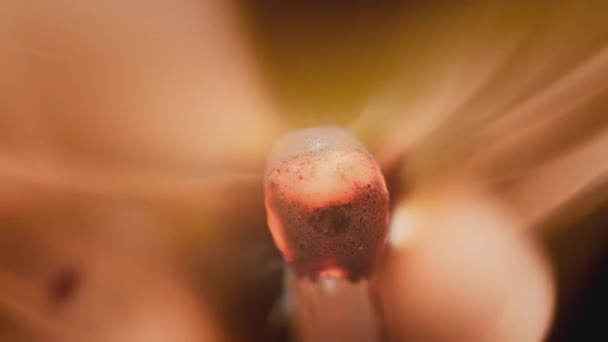 Matchstick met vuur op de punt. Matchstick vuurt op Matchbox in macro slowmo. Macro Shot of Iigniting Match tegen zwarte achtergrond. Brandende lucifer. — Stockvideo