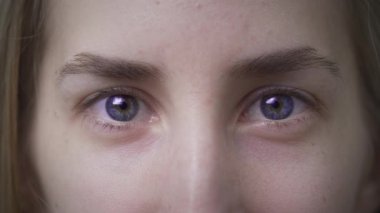Blue eyes of a beautiful girl. The white woman opens her eyes. Lovely clean young face. Close-up of attractive Caucasian eyebrows