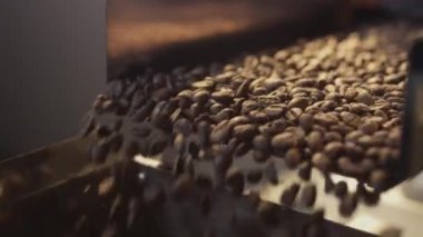 Arabica kahve çekirdekleri endüstriyel bir taşıyıcı ile tanıtılıyor. Prodüksiyon ve kızartma yakın çekim. Aromatik kahve endüstrisi.