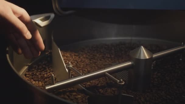 Profesyonel bir endüstriyel kızartma makinesi organik kahve çekirdeklerini döndürür. Kahveci sıcak aromatik kahveyi eliyle alır, rostoyu kontrol eder. — Stok video