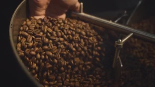 Een professionele industriële brander roteert biologische koffiebonen. De barista neemt de hete aromatische koffie met zijn hand, controleert het gebraad — Stockvideo