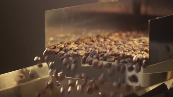 Arabica koffiebonen worden gepromoot op een industriële transportband, shaker. Close-up shot van productie en roosteren. Aromatische koffie-industrie. — Stockvideo