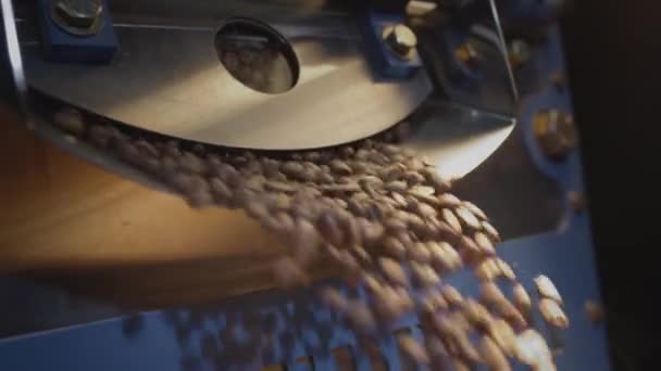 Bruine Arabica koffiebonen vallen uit de broodrooster in de koeler voor afkoeling. Professionele industriële roosteren, koffie-industrie. Wave of stroom van koffie — Stockvideo