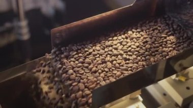Kavrulmuş kahve çekirdekleri kızartma makinesinin varilinden dökülür. Kahve buharı. Yavaş çekim.