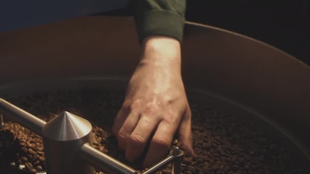 Frijoles asados. Un tostador industrial profesional rota granos de café orgánicos. El barista toma el café aromático caliente con su mano — Vídeos de Stock