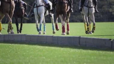 Polo maçı, iki takım ağır çekimde at sırtında. At biniciliği. Çimlerde polo, stadyumda binicilik sporları