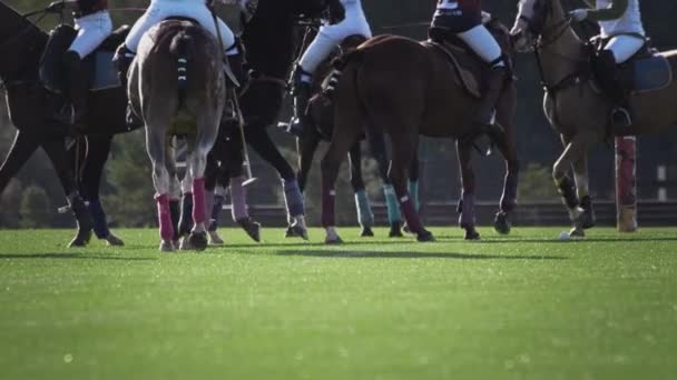 UFA RUSSIA - 05.09.2021: Polo game, two teams on horseback in slow motion. Horseback riding. Polo in the grass arena, equestrian sports in the stadium — Stock Video