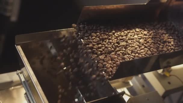 Жареные кофейные зерна выпадают из холодильника. Арабика бобы наливают и вращаются. Промышленное обжаривание и производство, кофейная промышленность — стоковое видео