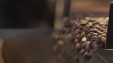 Arabica kahve çekirdekleri endüstriyel bir taşıyıcı ile tanıtılıyor. Prodüksiyon ve kızartma yakın çekim. Aromatik kahve endüstrisi.