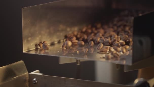 Arabica kávová zrna jsou podporovány na průmyslovém dopravníku, třepačka. Detailní záběr produkce a pečení. Aromatický kávový průmysl. — Stock video