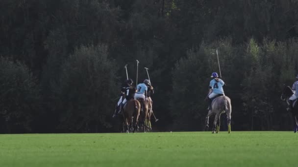 UFA RUSIA - 05.09.2021: Juego de polo, cámara lenta. Dos equipos de jugadores montan caballos en un estadio de hierba verde. Golpearon la pelota.. — Vídeo de stock