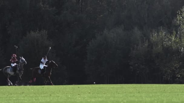 UFA Ryssland - 05.09.2021: Polo spel, slow motion. Håller en lång hanterad träklubba. Matcha med åskådare, grönt gräs arena — Stockvideo