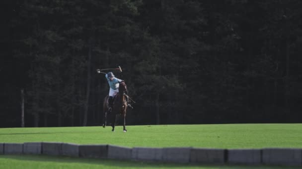 UFA RUSSIA - 05.09.2021: Jogador de pólo líder a cavalo. Atinge uma bola branca com uma vara de madeira. Um jogo de campeonato ou treinamento em um clube de pólo. — Vídeo de Stock