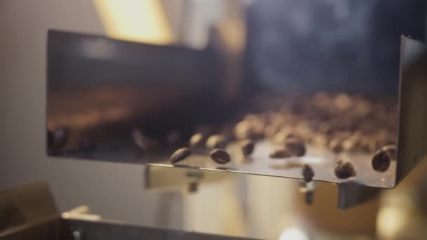 Varmrostade kaffebönor hälls från fat av rostningsmaskin. Kaffeånga. Långsamma rörelser. — Stockvideo