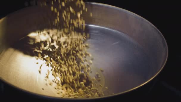Barista giet ongebrande arabicabonen in de braadpan. Roosteren aromatische koffie, vallen in het gat in het gebraad. Industrie en productie van koffie. Langzame beweging close-up. — Stockvideo