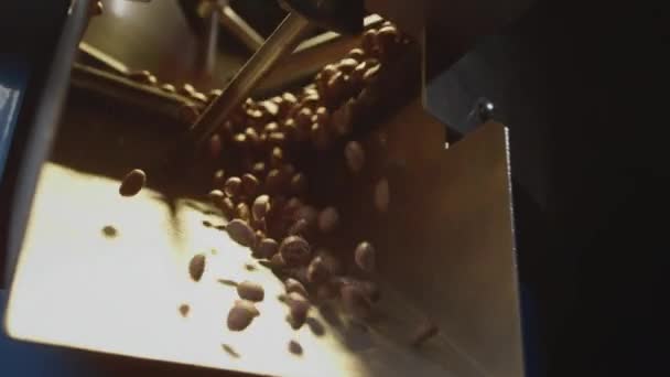 Жареные кофейные зерна выпадают из холодильника. Арабика бобы наливают и вращаются. Промышленное обжаривание и производство, кофейная промышленность — стоковое видео