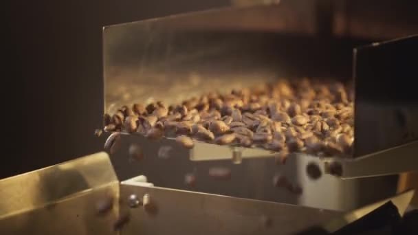 Warme gebrande koffiebonen worden gegoten uit trommel van roostermachine. Koffie stoom. Langzame beweging. — Stockvideo