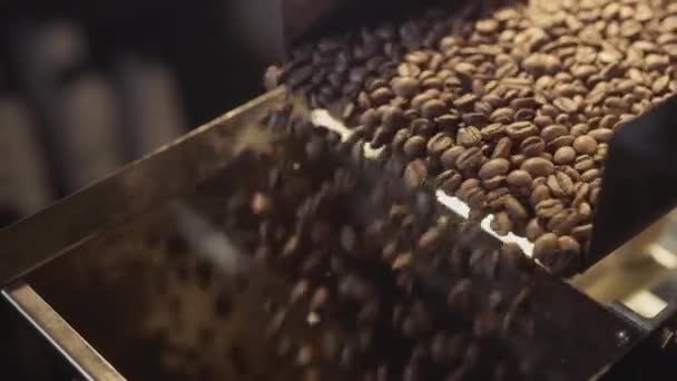 Los granos de café tostados se caen del refrigerador. Los frijoles arábicos se vierten y giran. Producción y tostado industrial, industria del café — Vídeos de Stock