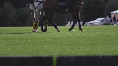 Polo oyunu, ağır çekim. Oyuncular uzun saplı tahta bir çekiç tutuyor. Sürücü başarılı bir vuruş yapıyor, topu sürüyor.
