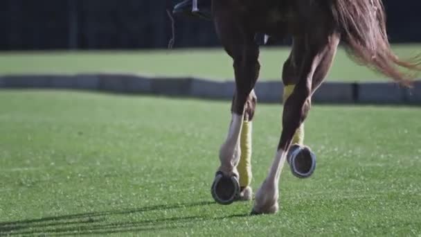 УФА РОССИЯ - ОИ-2021: Девушка на коне в замедленной съемке. Верховая езда. Поло на травяной арене, конный спорт на стадионе. Лошадиные ноги. — стоковое видео