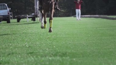 Polo maçı, iki takım ağır çekimde at sırtında. At biniciliği. Çimlerde polo, stadyumda binicilik sporları