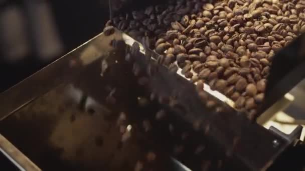 Les grains de café torréfiés chauds sont versés à partir du tambour de la machine de torréfaction. La vapeur de café. Mouvement lent. — Video