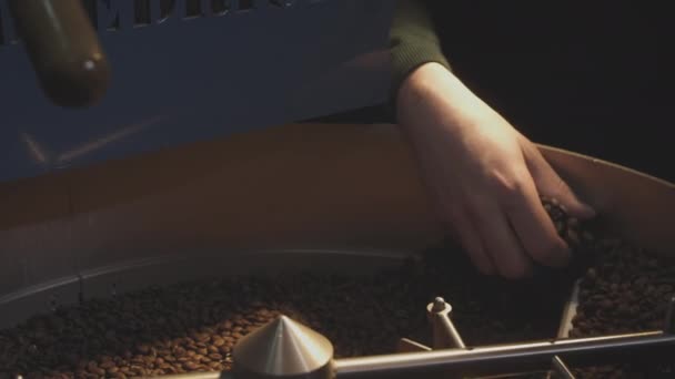 Feijão assado. Um torrador industrial profissional gira grãos de café orgânicos. O barista toma o café aromático quente com a mão — Vídeo de Stock