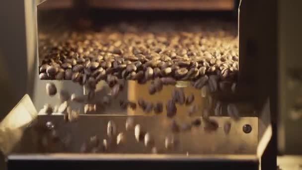 Les grains de café torréfiés chauds sont versés à partir du tambour de la machine de torréfaction. La vapeur de café. Mouvement lent. — Video