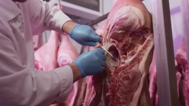 Industrielle Verarbeitung von Fleisch. Ein Mann schneidet einem Tier in einer Metzgerei mit einem Messer die Tierkadaver ab. Produktion für Restaurants — Stockvideo