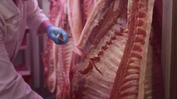 Hús ipari feldolgozása. Egy férfi szakács levágja egy állat tetemét egy hentesboltban egy késsel. Éttermi termelés — Stock videók