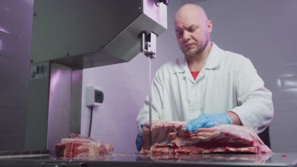 Průmyslové zpracování masa. Kuchař krájí kus panenky v řeznictví na stroji s pásovou pilou. Ribeye nebo mramorované hovězí. — Stock video