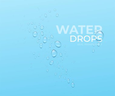 Mavi arka planda gerçekçi su damlaları, gerçek şeffaf efekt. Vektör illüstrasyonu
