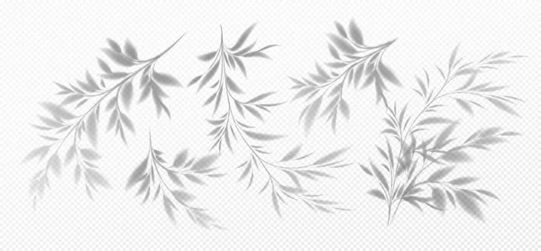 Realistischer transparenter Schatten eines Bambuszweiges mit isolierten Blättern auf transparentem Hintergrund. Vektorillustration — Stockvektor
