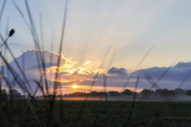 Badem ağaçlarının arasından gün doğumu, bulutlu gökyüzü.