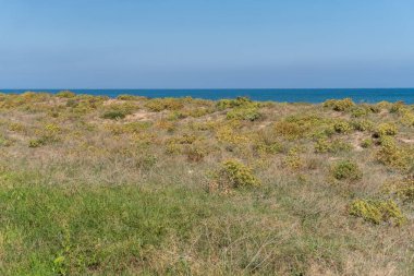 Kumsal yakınlarındaki kum tepelerinin manzarası, Xeraco, Valencia 'da (İspanya)).