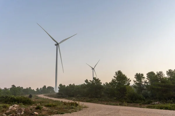 Landscape Sunrise Silhouettes Windmills Generate Renewable Electricity — Stock Photo, Image