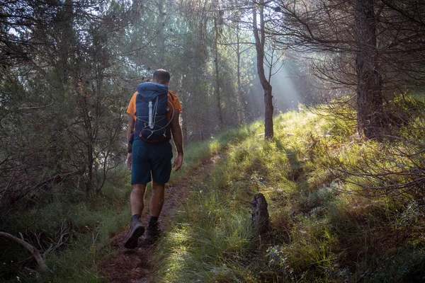 Wanderer Von Hinten Gesehen Wie Auf Einem Steinigen Pfad Mit — Stockfoto