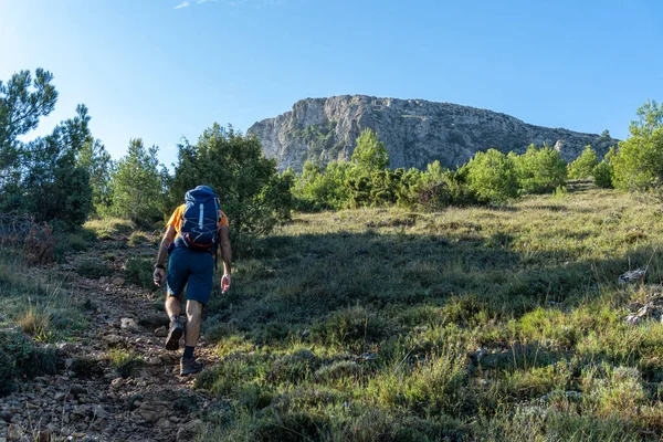 Wanderer Von Hinten Gesehen Wie Einem Sonnigen Tag Den Bergweg — Stockfoto