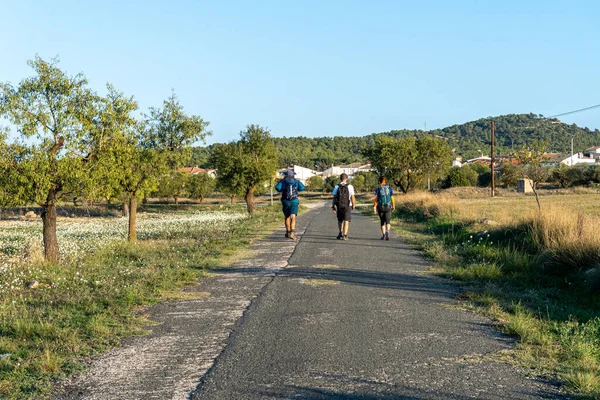 Drei Wanderer Bei Sonnenuntergang Auf Einer Landstraße Der Nähe Einer — Stockfoto