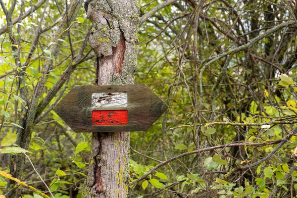 木の幹に釘を打ち森の中のハイカーや歩行者への方向を示す白と赤のマーキングを持つ木の矢印の形の作品 — ストック写真