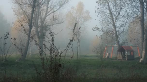 Parque Infantil Abandonado Uma Manhã Outono Nebulosa Fria Conceito Distópico — Vídeo de Stock