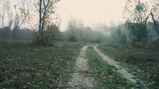 Campo Otoñal Con Camino Tierra Fangoso Una Fría Mañana Niebla — Vídeos de Stock