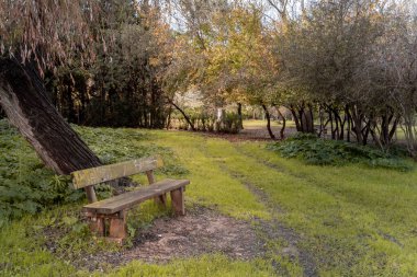 Yapraklı bir parkta eski boş ahşap bir bank..