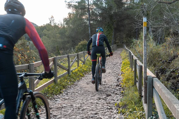 Radfahrer Auf Einem Weg Mit Holzgeländer Den Seiten — Stockfoto