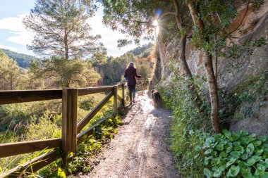 Aydınlatılmış kadın tasmalı bir köpekle yolda yürüyor.