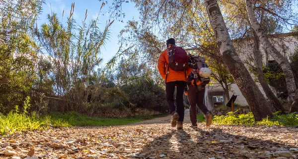 Zwei Hinterleuchtete Wanderer Wandern Mit Kletterrucksäcken Durch Einen Üppigen Wald — Stockfoto